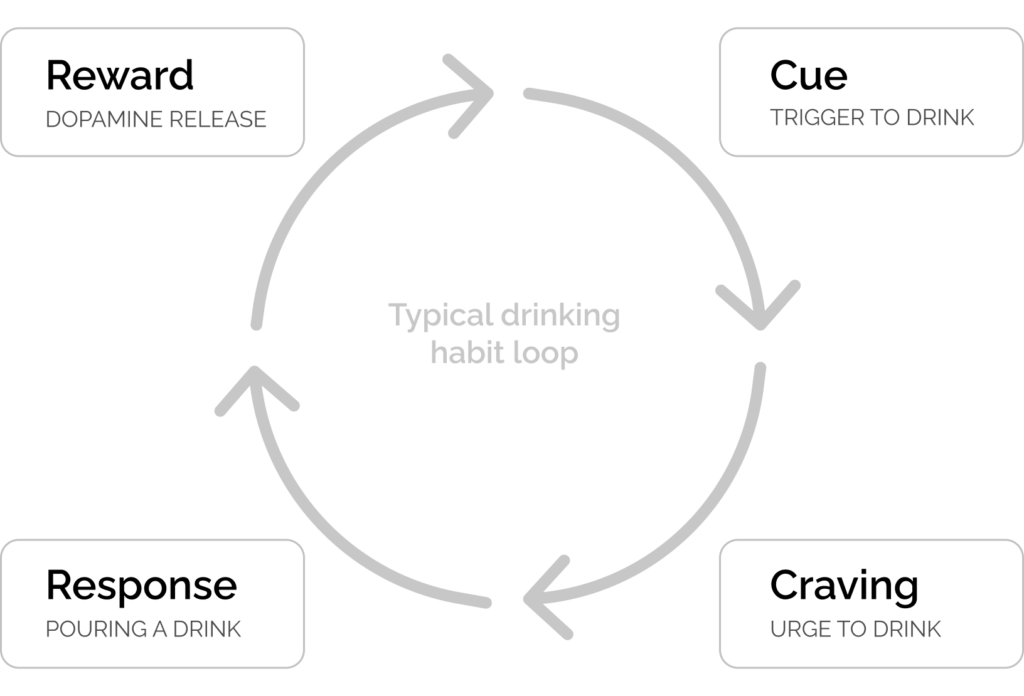 Diagram showing how the Sunnyside program works